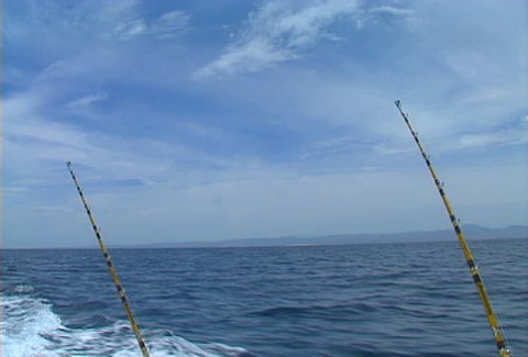 Deep-sea fishing rods, trolling off the back of a moving boat.
