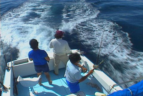 A trio of fishermen troll off the back of a moving boat.