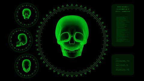 Hi-tech Scan Screen - Skull 05 (HD) - 3D animation. Medical, scientific, sci-fi, crime or hi-tech background. Screen with spinning skull, random texts and rings. Alpha included, loop.