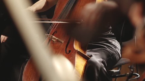 violin instruments, symphony orchestra stock footage