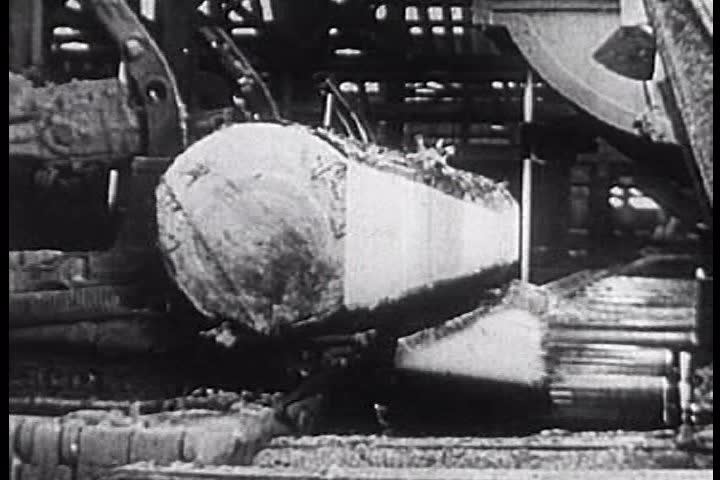 CIRCA 1940s - Trees are cut into wood planks and dried in mills.