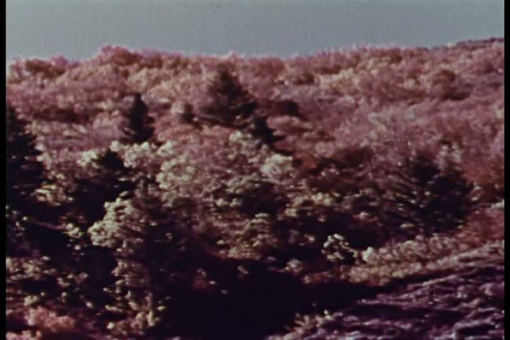 CIRCA 1970s - Autumn in Yellowstone National park in 1970.