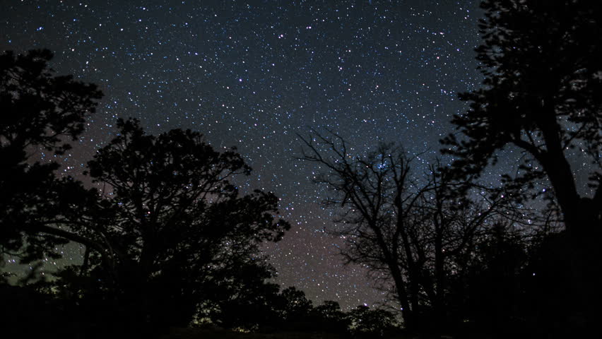 Night sky star trails galaxy timelapse with forest trees in the foreground. Shot over Grand Canyon National Park.  