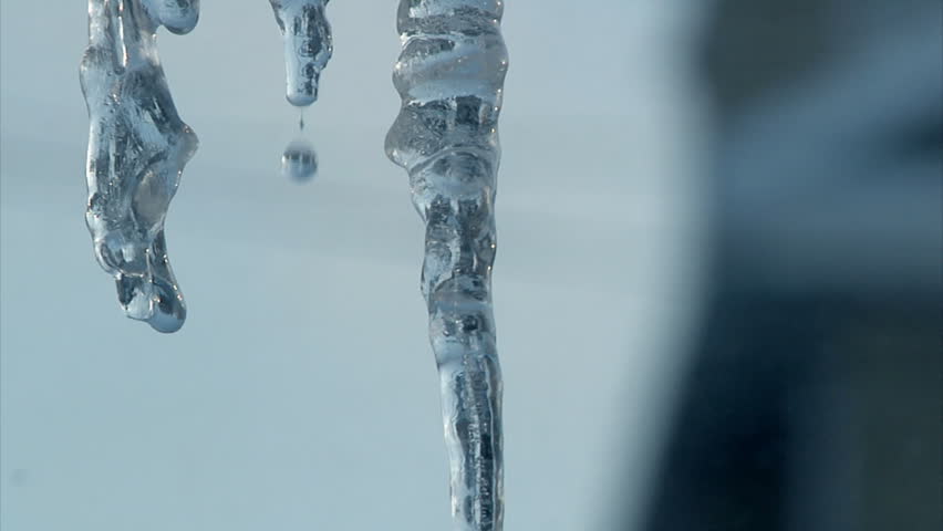 Dripping icicles.