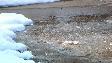 Spreading salt on an icy sidewalk.