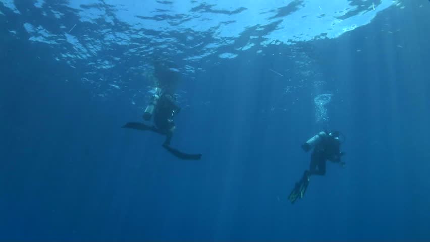 Scuba divers at the surface, shot from underwater | Shutterstock HD Video #6271841
