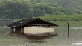 Flooded wooden building in the muddy lake water after big storm and heavy downpour, rain falling,water concentric waves.Submerged ruin after hurricane.Similar clip available 24 or 30 fps. 