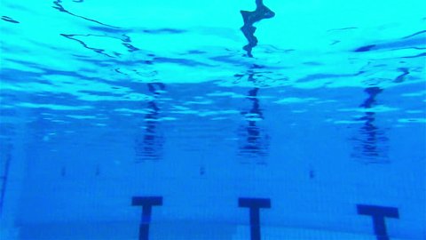 Professional swimmer jumping in to the swimming pool and doing butterfly stroke, slow motion, high speed camera,underwater footage