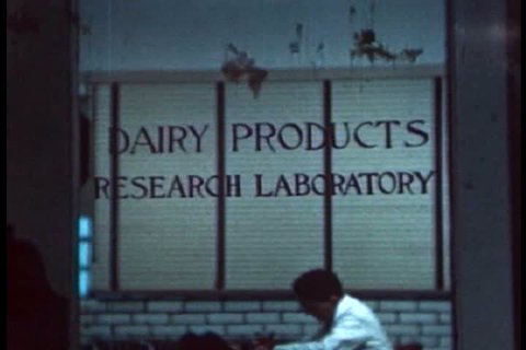 CIRCA 1940s - The dairy products research lab at the Beatrice Foods plant in Chicago in 1941.