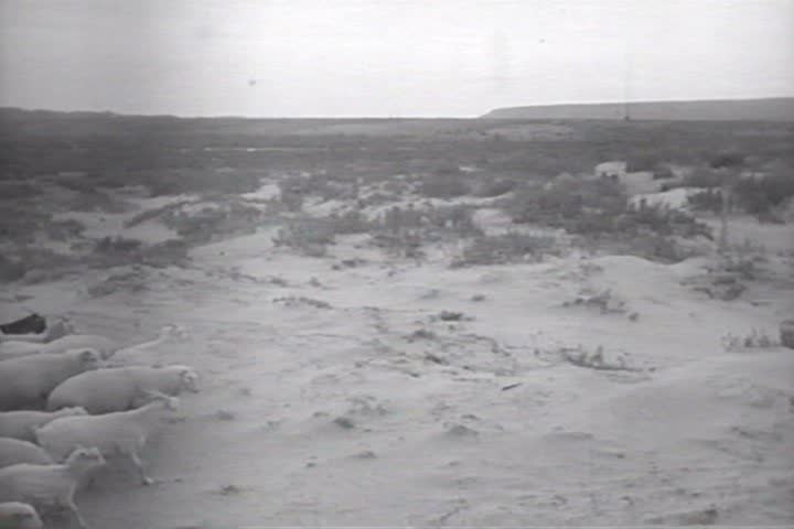 CIRCA 1920s - Good footage of Navajo American Indians in 1926.