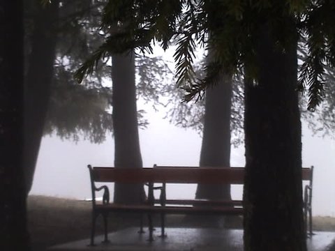 Girl sit and rest on the bench in woods, one video clip