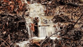Mountain stream flowing down a hillside through the dry leaves after heavy downpours,rapids close up,cascade macro,water rushing,abstract of nature.Similar clips also in 1080/24,25 and 30 fps.