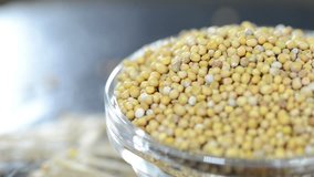 Fresh Mustard Seeds (not loopable)