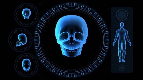 Hi-tech Scan Screen - Skull 08 (HD) - 3D animation. Medical, scientific, sci-fi, crime or hi-tech background. Screen with spinning skull, man body and rings. Alpha included.