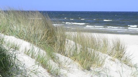 Coastline of the Baltic sea in Poland with beachgrass