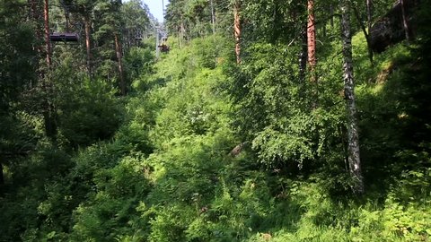 Beautiful vegetation on the hillside of Mount Tserkovka in Belokurikha. Altai Krai. Russia. 