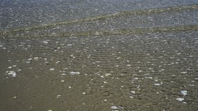 Break-wave of the Baltic sea in Poland, Swinoujscie with shells at low tide