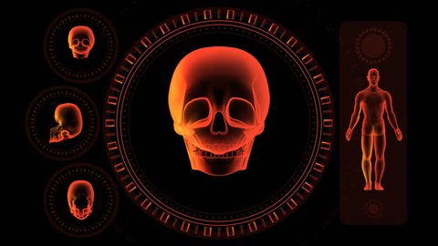 Hi-tech Scan Screen - Skull 10 (HD) - 3D animation. Medical, scientific, sci-fi, crime or hi-tech background. Screen with spinning skull, man body and rings. Alpha included. Loop.