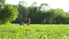 Sunny weekend day in park, people walking, playing, relaxing, having fun. Shallow DOF, focus on foreground. Dolly camera movement.
