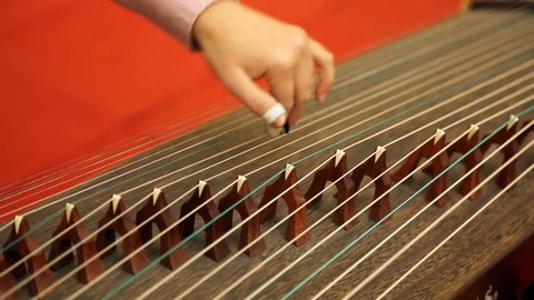 Chinese traditional musician playing chinese guzheng.Guzheng, also called zheng or Chinese plucked zither,is a plucked half-tube zither with movable bridges and  strings.