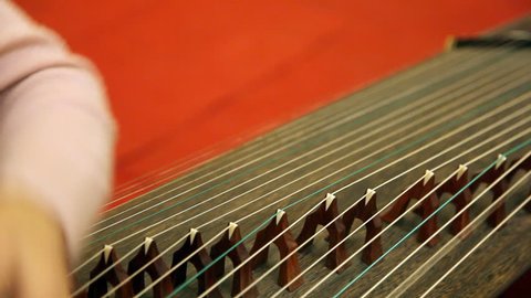 Chinese traditional musician playing chinese guzheng.Guzheng, also called zheng or Chinese plucked zither,is a plucked half-tube zither with movable bridges and  strings.
