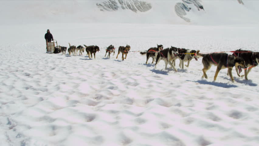 Dogsledding team in motion high mountain pass, Alaska - Dogsledding team in motion high mountain pass summer time, Alaska, USA, RED EPIC