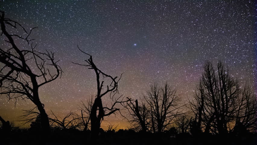 Amazing galaxy star trails spin in timelapse night sky panorama over forest. Polaris at the center of the shot. Shot in Grand Canyon National Park. 