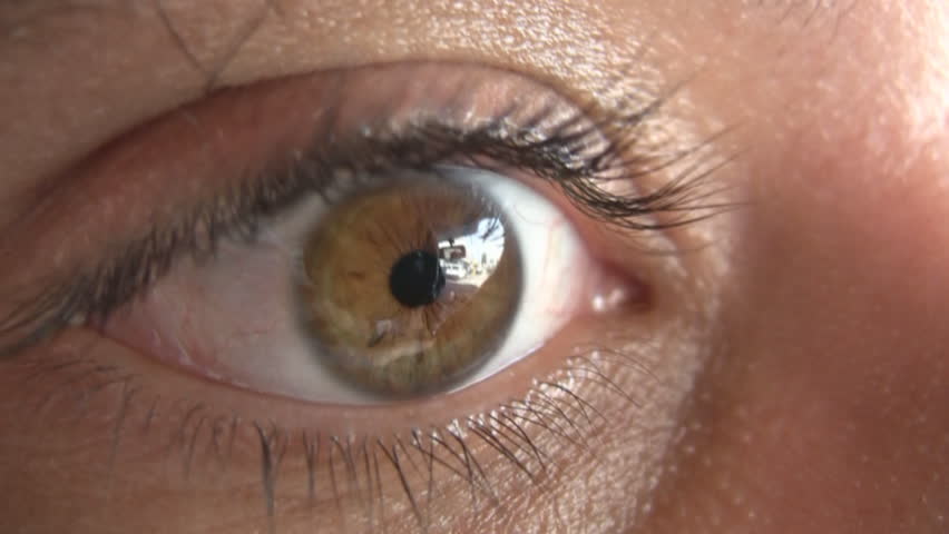 brown eye in macro looking left and right and blinking,extreme detail