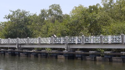Riverside - riverwalk - boardwalk - linear pedestrian park for joggers and bicycle park for walking, jogging and riding bikes on the edge of a salt water mangrove river channel in Puerto Rico.