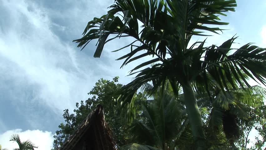 Traditional meeting house in Yap Island, Micronesia, camera tilt