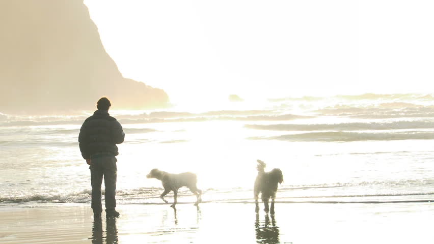 Man and two dogs enjoy the sun shine at Oregon beach.