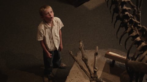 Medium Shot Boy (10-11) looking at dinosaur's skeleton in natural history museum