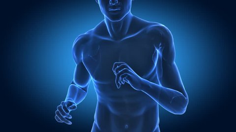 Runing man in x-ray with cardio data projection - fitness concept in loop --- Similar videos in my portfolio ---