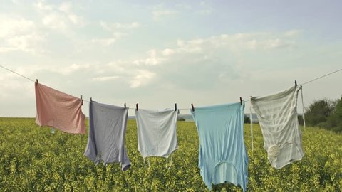 Summer Field Clean Clothes Line Nature Living Concept