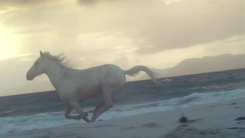 Horse running on beach 