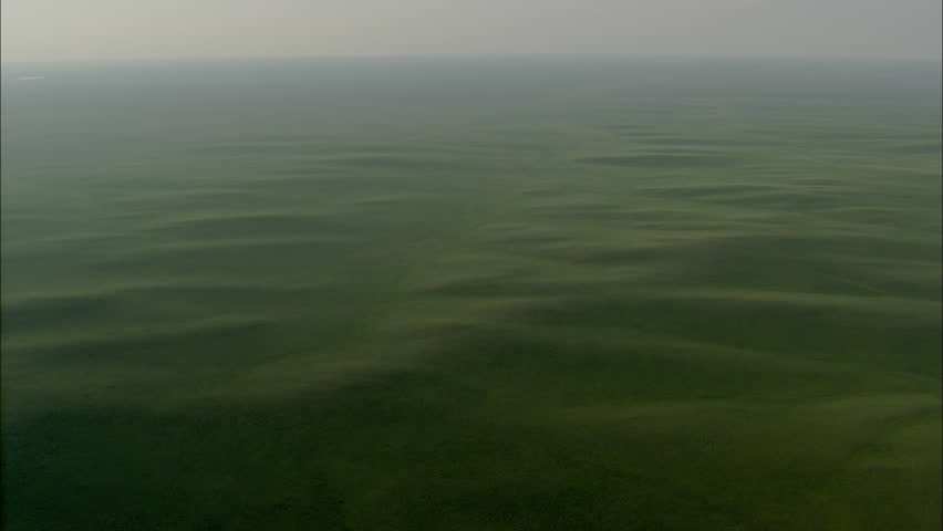 Grasslands Plain Prairie. view of vast grasslands