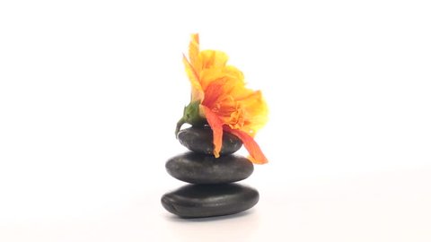 Zoom in on stack of Zen or massage rocks topped with Hibiscus flower isolated on white