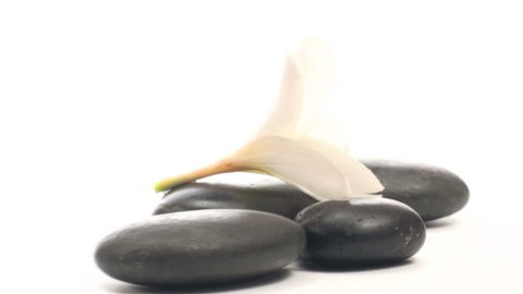 Massage rocks topped with Frangipani flower isolated against white zoom