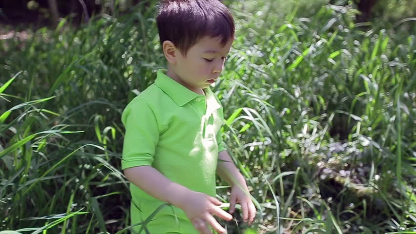 Cute Little Boy Walks Through Tall Grass Toward Camera