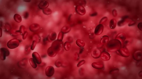 Computer generated video to simulate a red blood cells streaming and flowing inside vessel