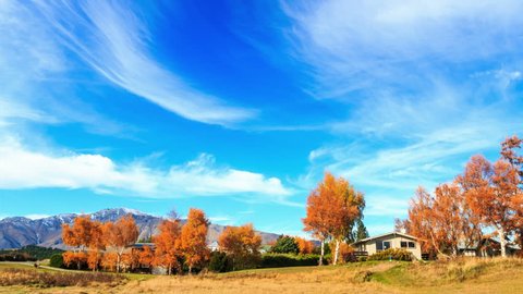 4K: Time lapse, Autumn fall seasonal leaves in tree, near lake tekapo, new zealand, set against blue sky and clouds. Beautiful saturated yellows and blue, high quality, ultra hd, 4096x2304 库存视频