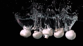Mushrooms falling in water on black background in slow motion - Powered by Shutterstock - Get 15% off with code: PIKWIZARD15