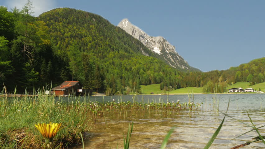 Mountain landscape above water surface of a lake with flower in foreground