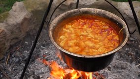 High boiling hungarian potatoes with noodles stewed with paprika and onions in a cauldron ( stew-pot ) on a campfire, native 60fps RX10 video - normal view