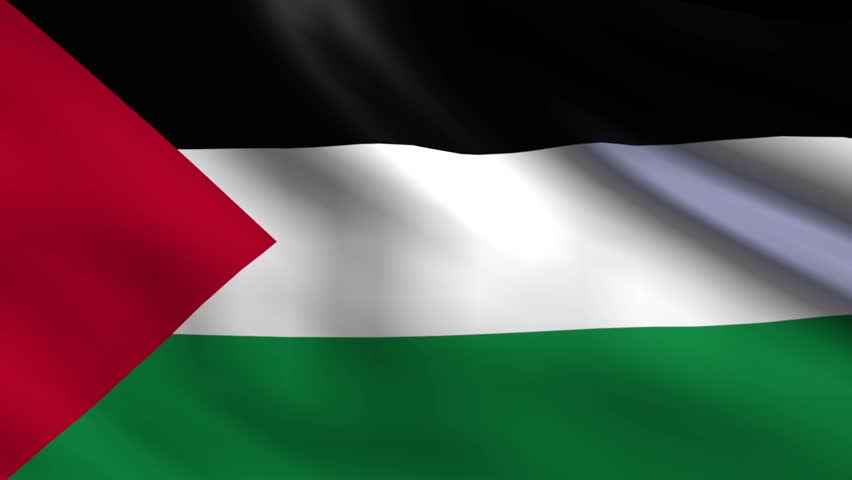 Flag of Palestine Background Seamless Stock Footage Video (100% Royalty