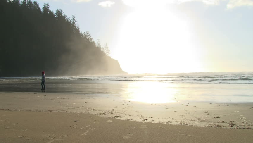 Sun shines over Oregon beach and dog runs on sand.
