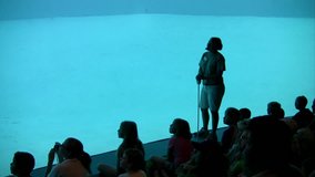 Video of a porpoise with a ball in it's mouth, kids and trainer at the Texas State Aquarium in Corpus Christi Texas. Children most silhouette with light blue water of fish tank. 