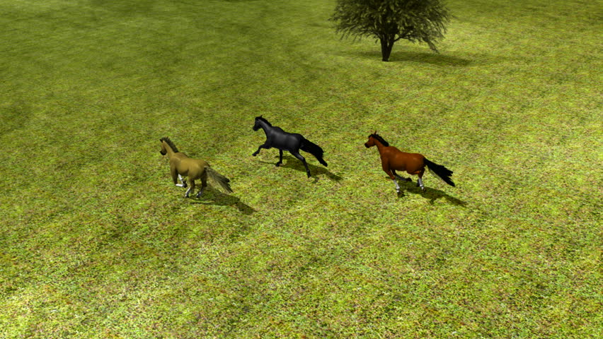 Horses Running in Field HD1080