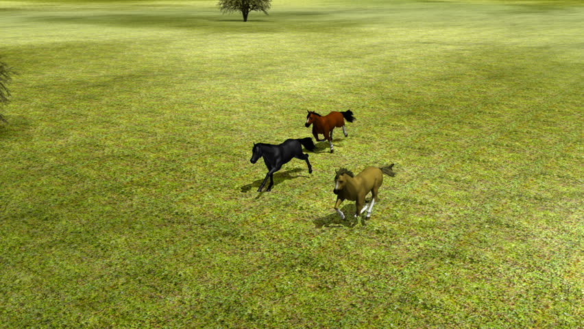 Horses Running in Field HD1080