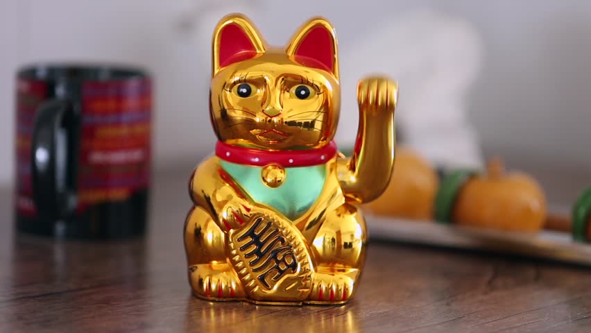japanese golden cat